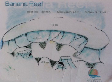 Banana Reef